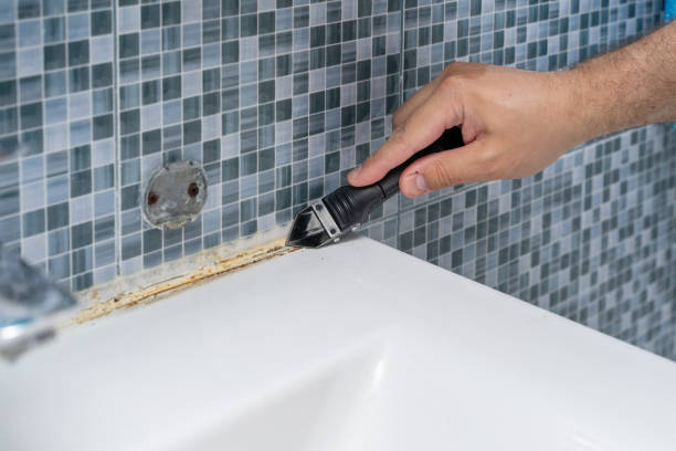 Best Industrial Mold Remediation in Bonita Springs, FL